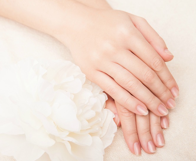 Beautiful hand with perfect nail french manicure and white flower